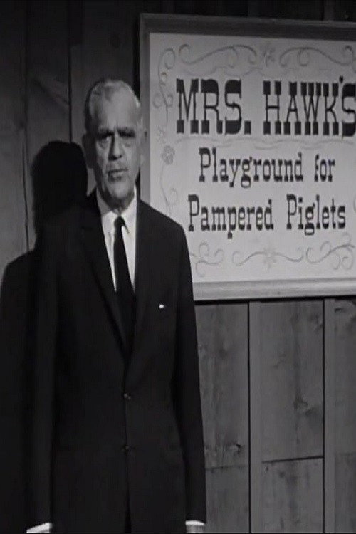 The Remarkable Mrs. Hawk Poster