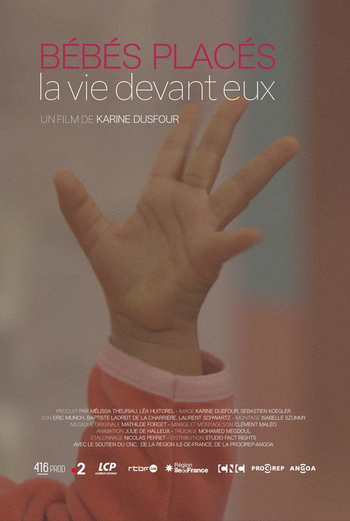 B&eacute;b&eacute;s plac&eacute;s, la vie devant eux电影海报