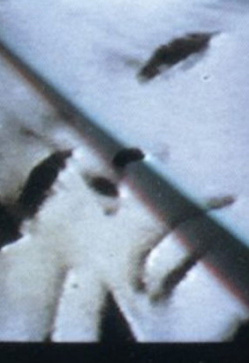 Nico: In Memoriam 1988 Nico: In Memoriam 1988