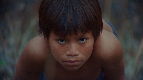 Secrets of the Tribe