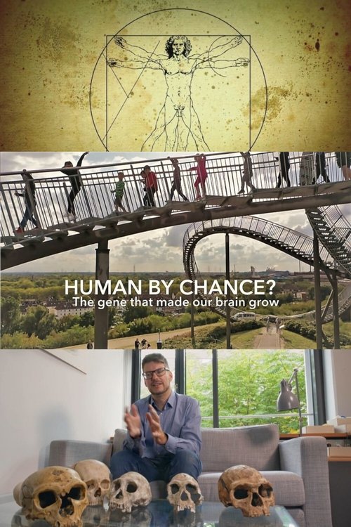 Human+By+Chance%3F