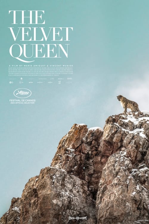 Watch The Velvet Queen (2021) Full Movie Online Free