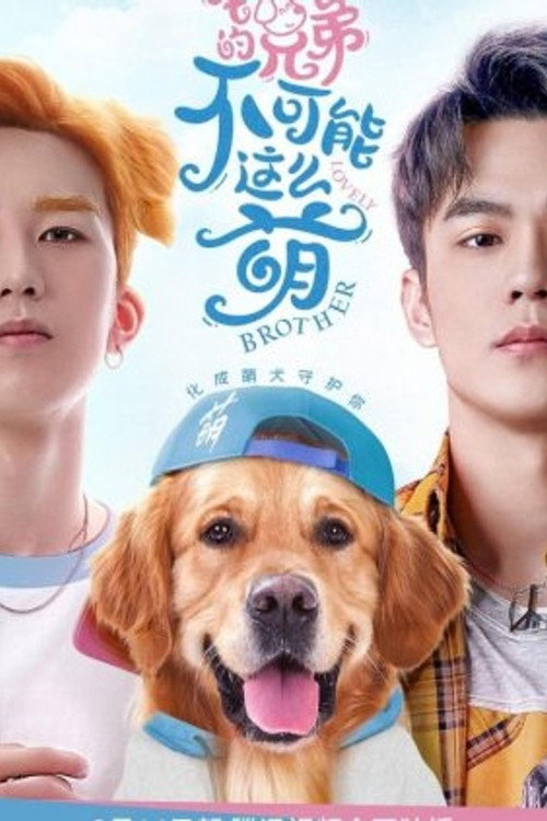 我的兄弟不可能在这么萌电影海报