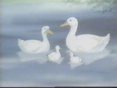 Guardian of the dark, queen of the night