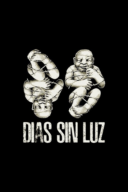 Días sin luz poster
