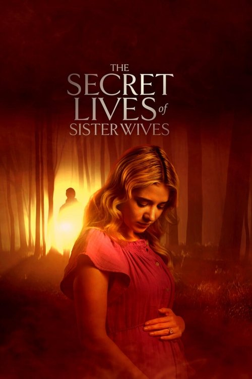 The Secret Lives of Sister Wives Poster