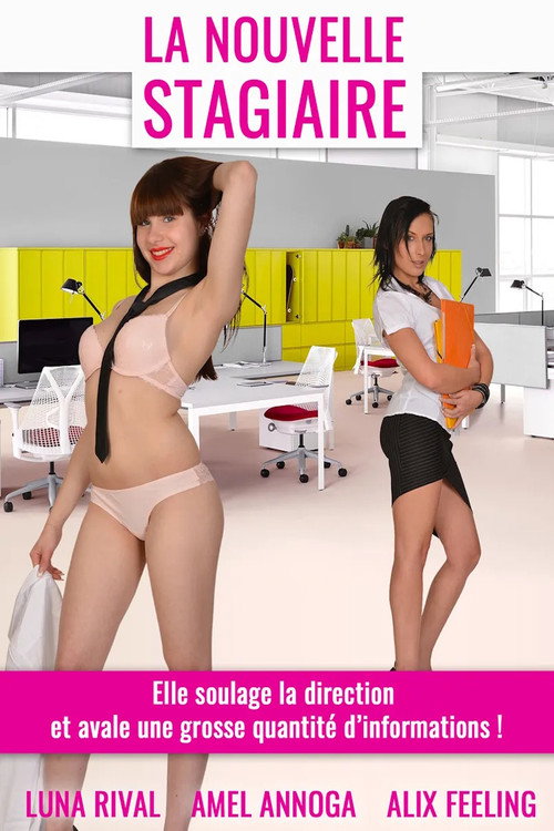 La Nouvelle Stagiaire poster 2