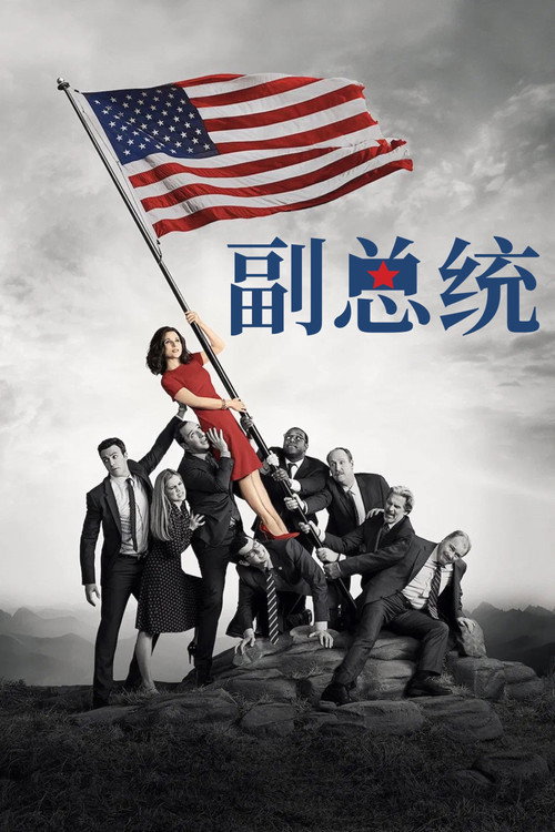 副总统电影海报