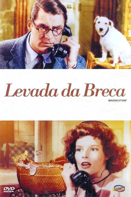 Assistir ! Bringing Up Baby 1938 Filme Completo Dublado Online Gratis