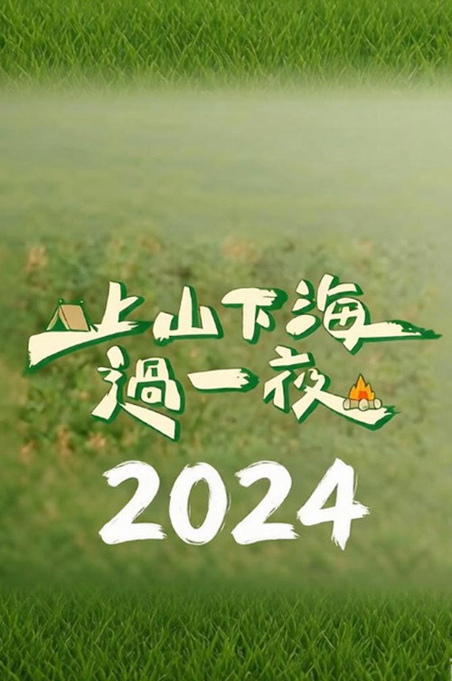 上山下海过一夜（2024）