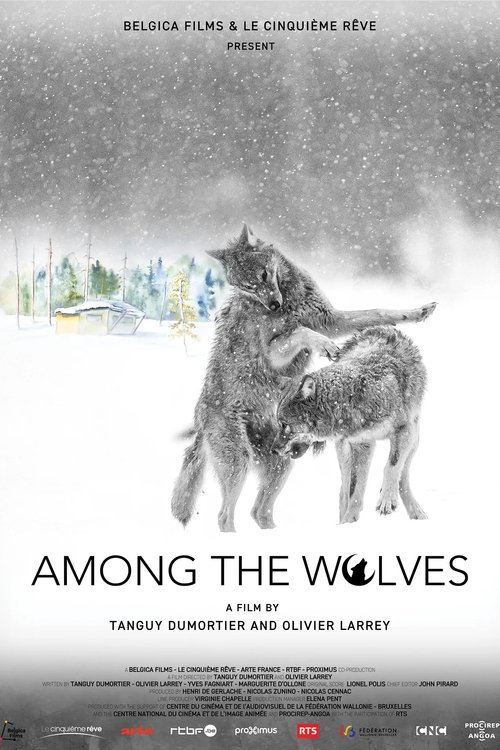 Poster for Among the Wolves