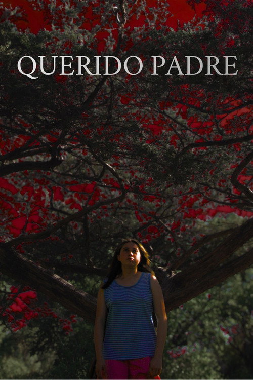 Querido Padre Poster