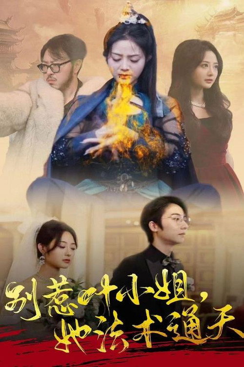 别惹叶小姐，她法术通天电影海报