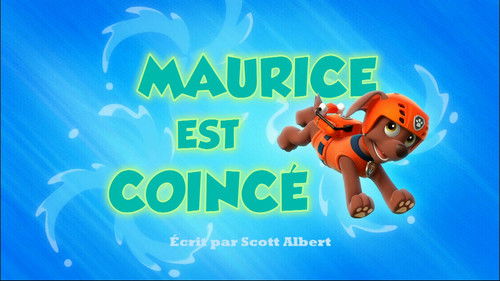 Obejrzyj Psi Patrol - Sezon 1 - Pieski ratują lwa morskiego na CDA wybrany odcinek