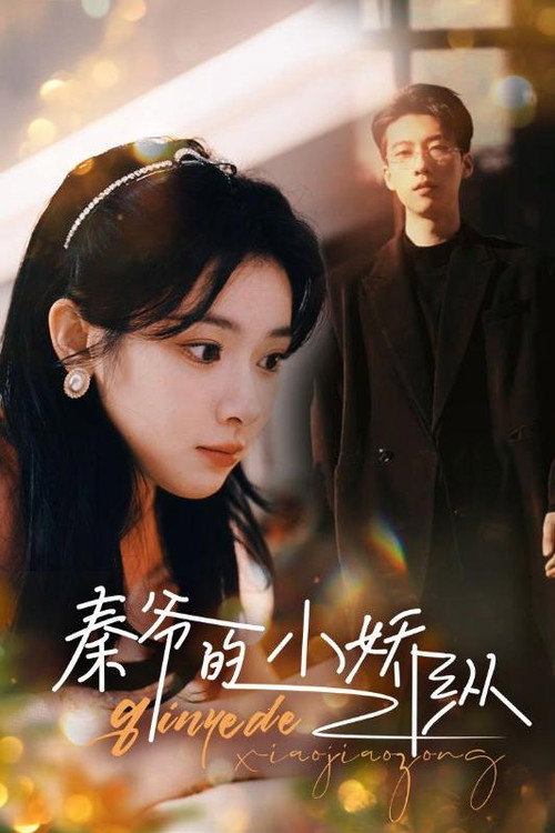 秦爷的小娇纵电影海报