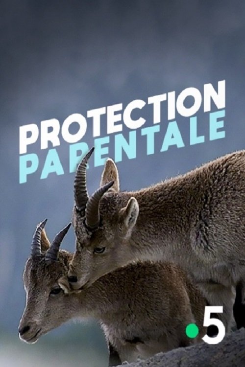 Protection parentale 2013