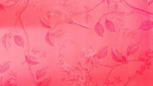 Backdrop