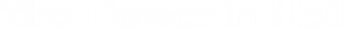 movies
