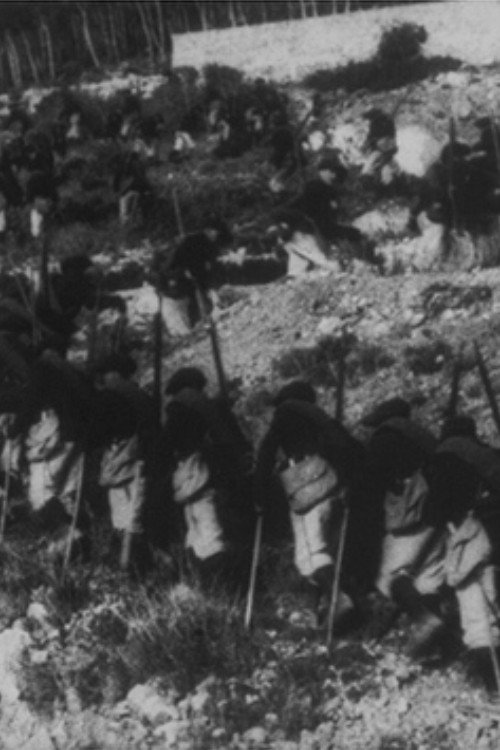 6&egrave;me bataillon de chasseurs alpins: ascension du sommet du diable电影海报