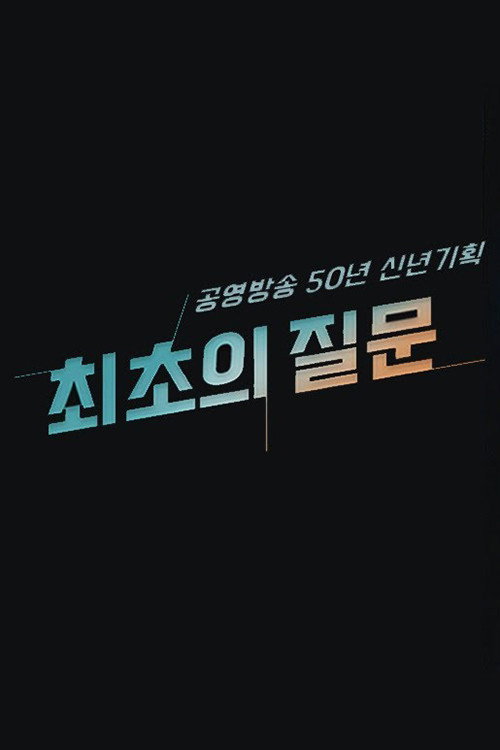 최초의 질문电影海报