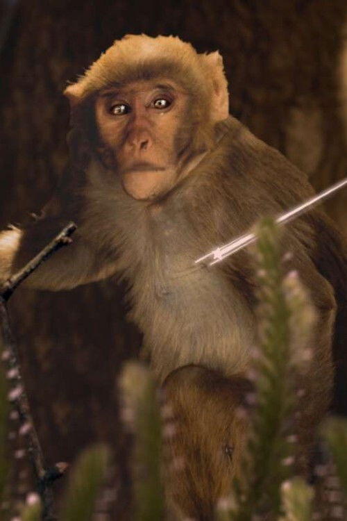 Stiahnite si celý film