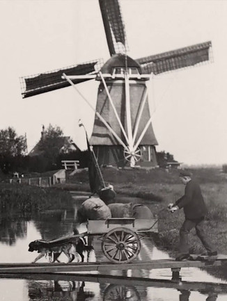 Countryside Near Amsterdam (1898) PHIM ĐẦY ĐỦ [VIETSUB]