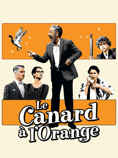 The Secretary Bird Poster