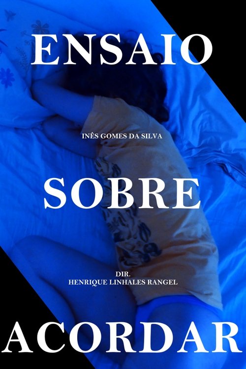 Ensaio Sobre Acordar Poster