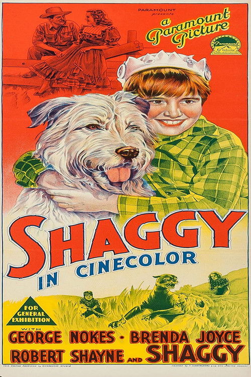Shaggy Poster