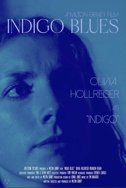 Indigo Blues poster 2