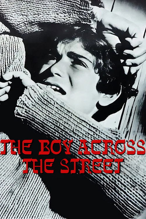 The Boy Across the Street Poster