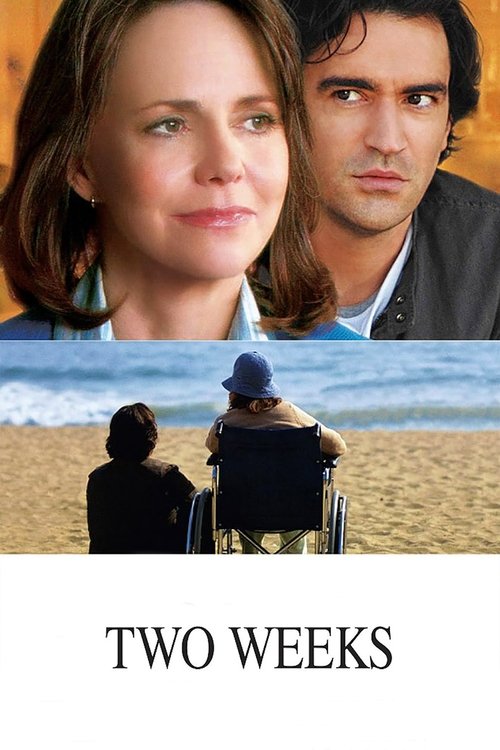 Poster for Two Weeks