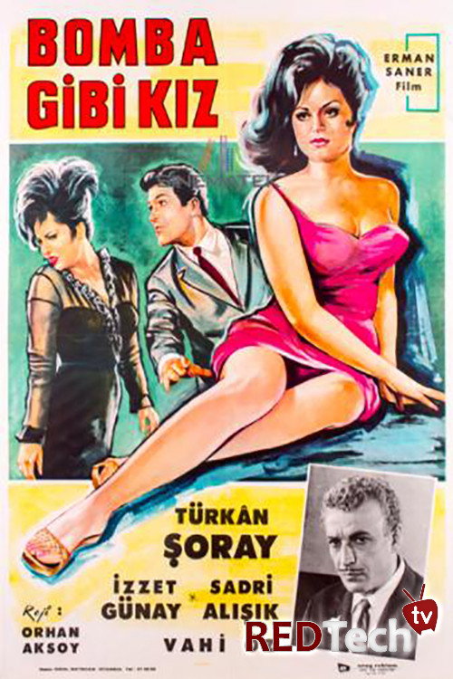Bozkırlar Şahini Targan poster 2