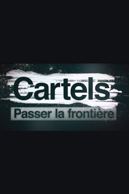 Cartels, passer la frontière poster 3