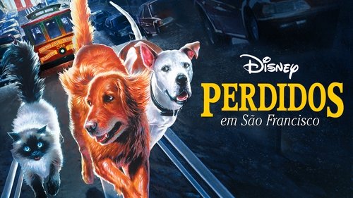 L'incroyable voyage II : À San Francisco (1996) Film Complet en Streaming VF