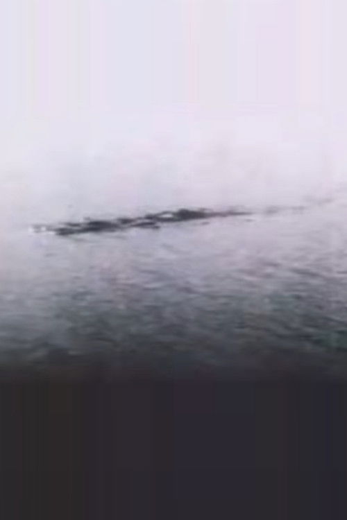 The Loch Ness Monster: Proof at Last!