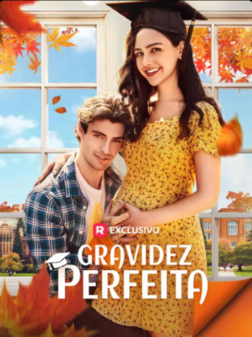 Gravidez Perfeita电影海报