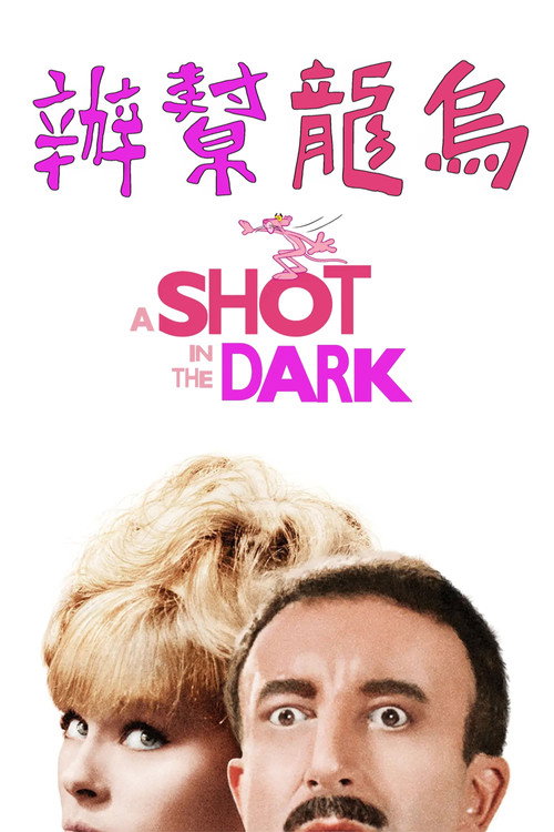 粉红豹系列：黑夜怪枪电影海报
