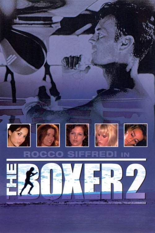 The Boxer 2 poster 2