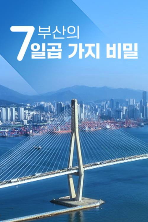 부산의 일곱 가지 비밀电影海报