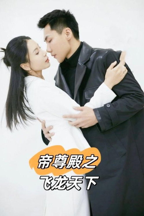 帝尊殿之飞龙天下电影海报