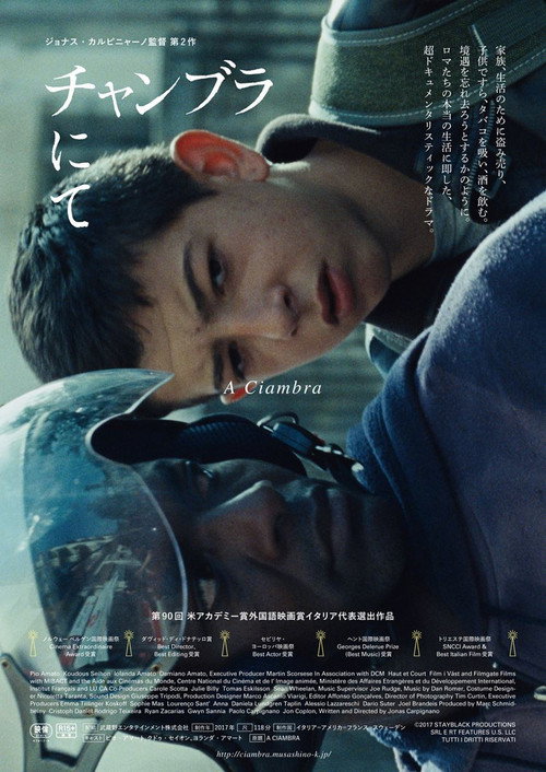 Young Lions of Gypsy poster 1