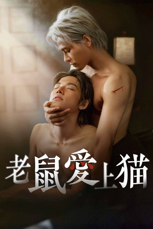 老鼠爱上猫电影海报