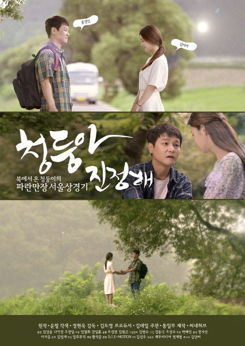 천둥아 진정해海报