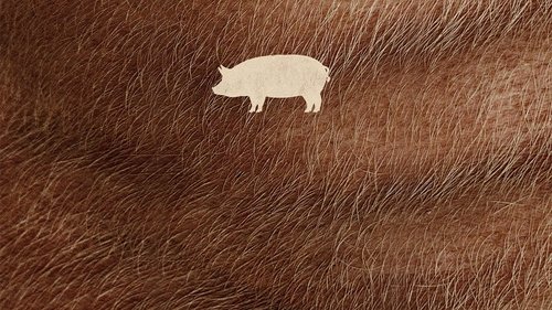 Pig (2021) film magyarul online hd