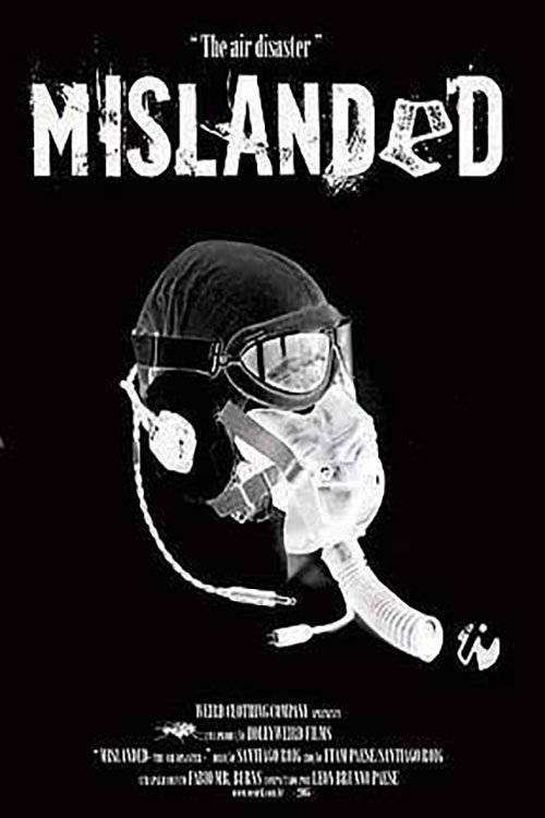 Mislanded: The Air Disaster Poster