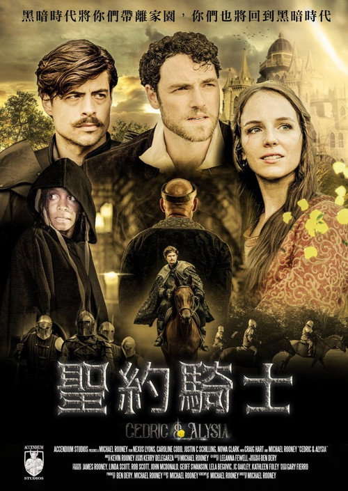 圣约骑士电影海报