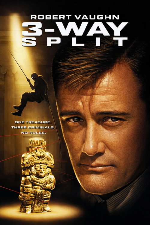 3-Way Split poster 2