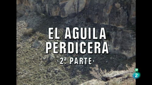 Bonelli's Eagle II