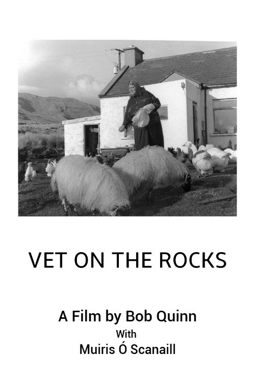 Vet On The Rocks电影海报